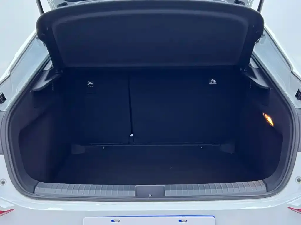 Volkswagen Lamando 2024 из CN, фото 8