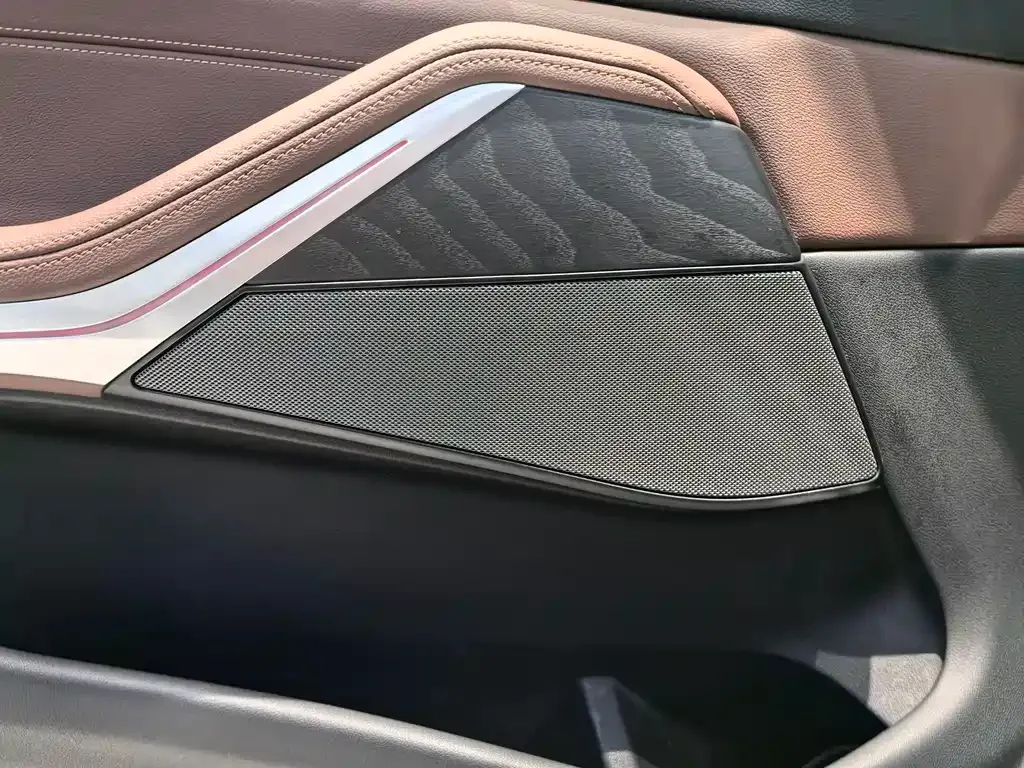 BMW X7 — фото 9