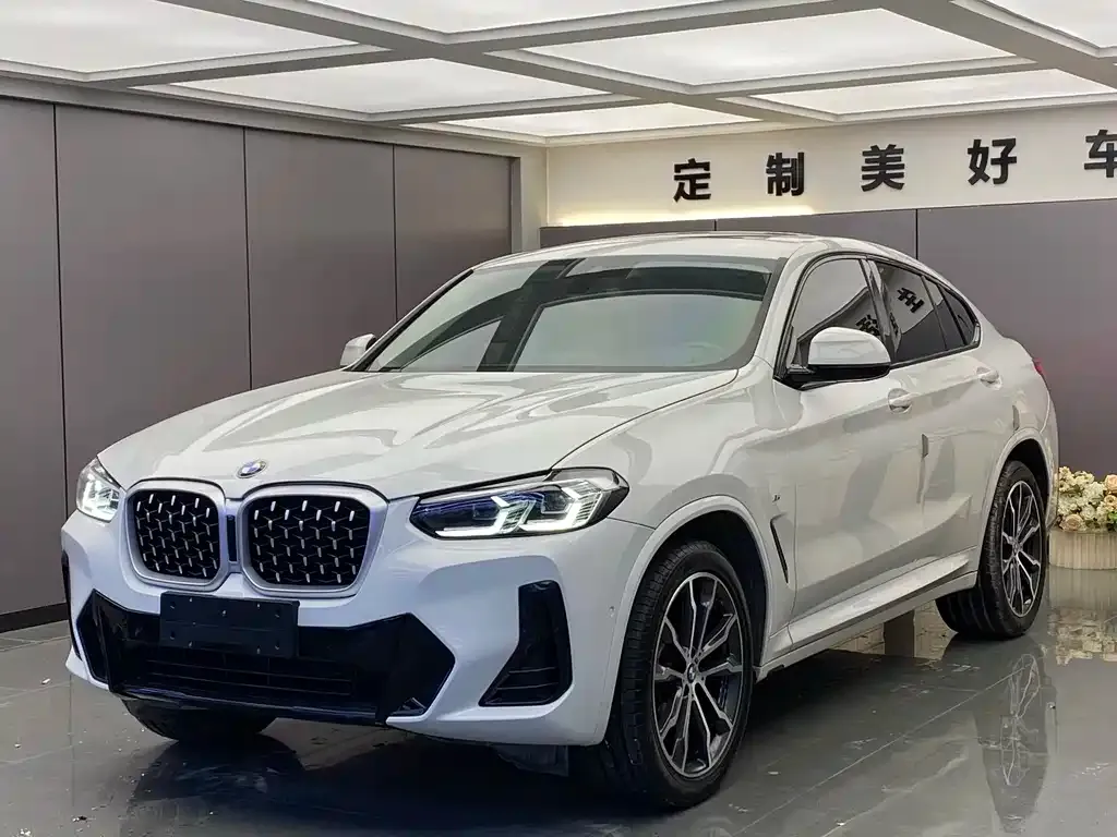 BMW X4 2021 из CN, фото 1