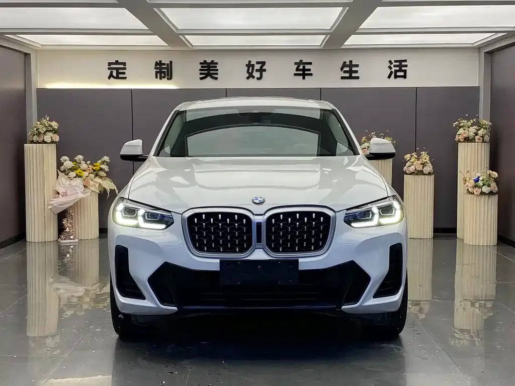 BMW X4 2021 из CN, фото 2