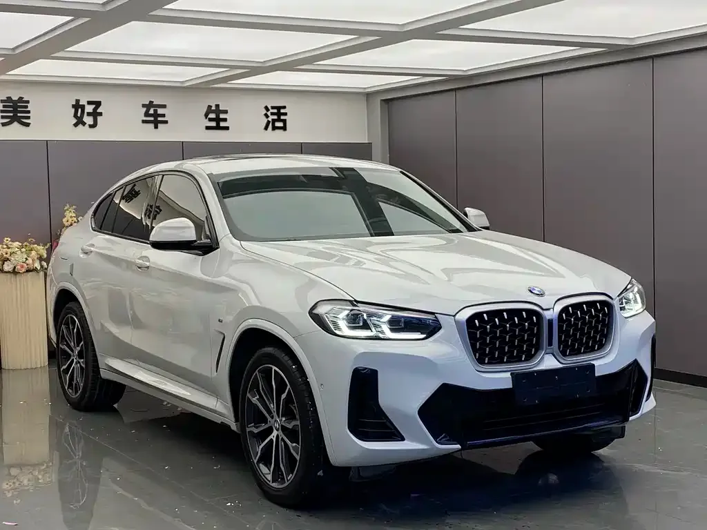 BMW X4 2021 из CN, фото 3