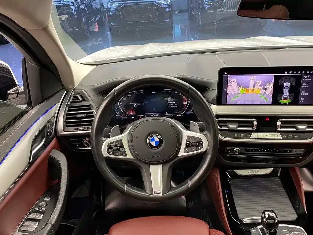 BMW X4 2021 из CN, фото 5