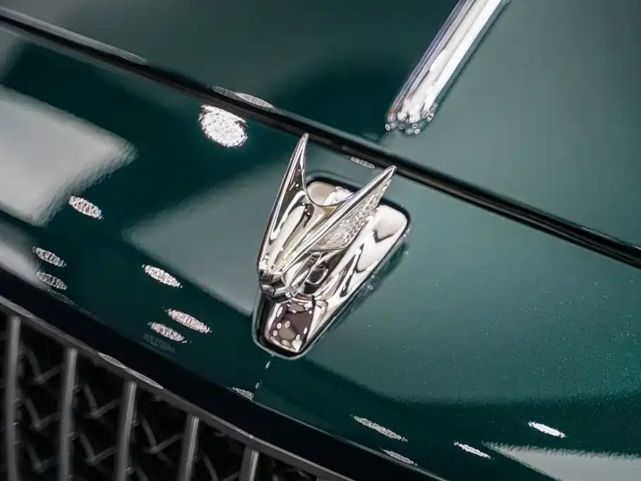Bentley Flying Spur 2023 из CN, фото 7