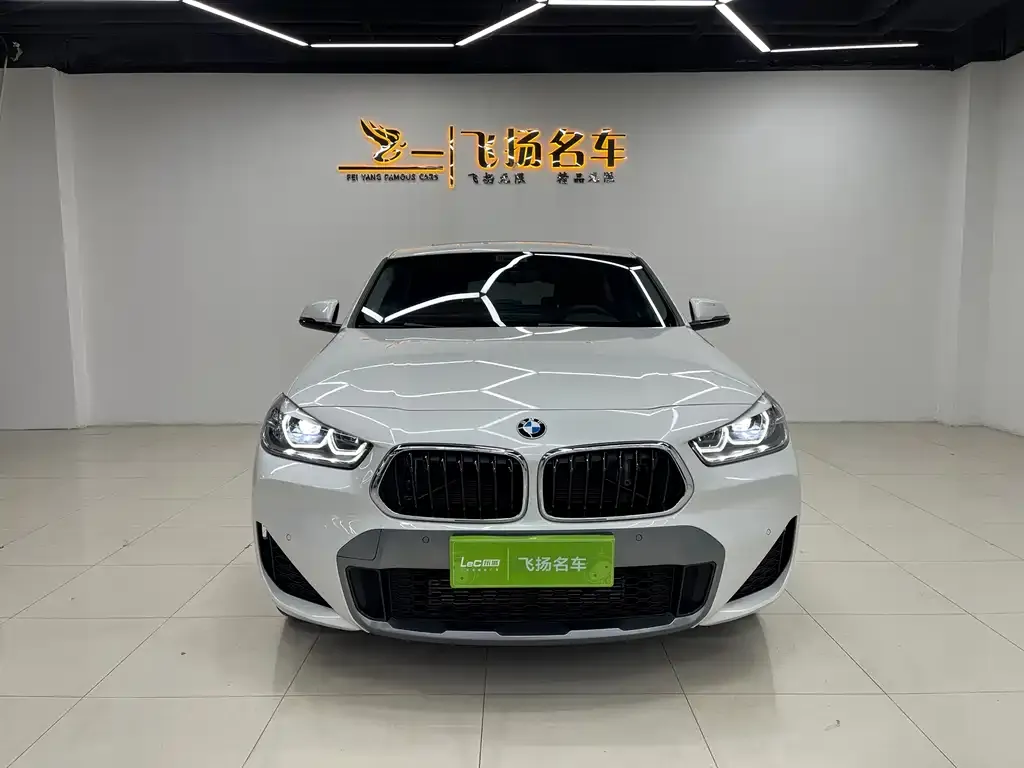 BMW X2 2023 из CN, фото 2