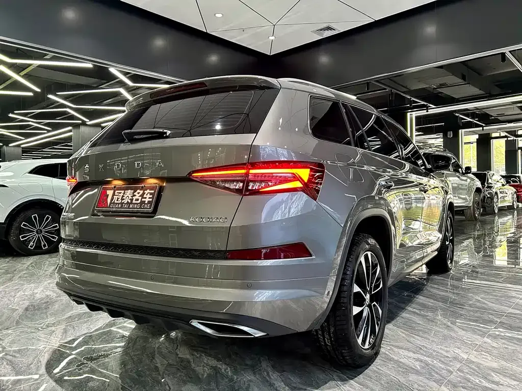 Skoda Kodiaq — фото 5