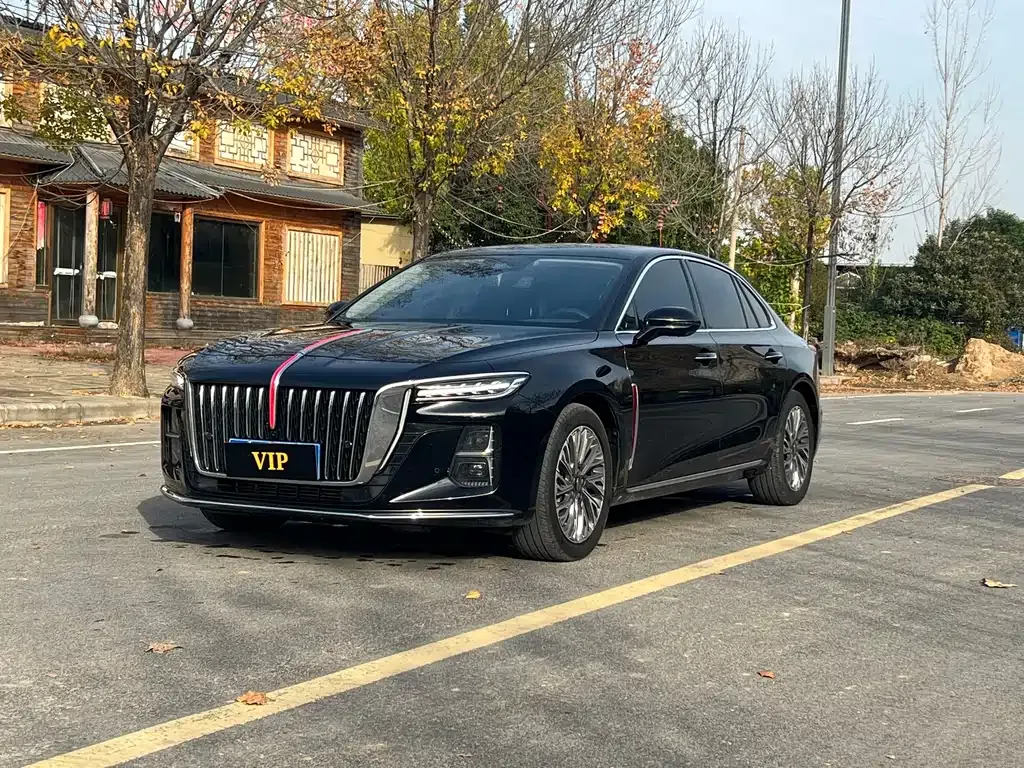 Hongqi H5 2023 из CN, фото 1