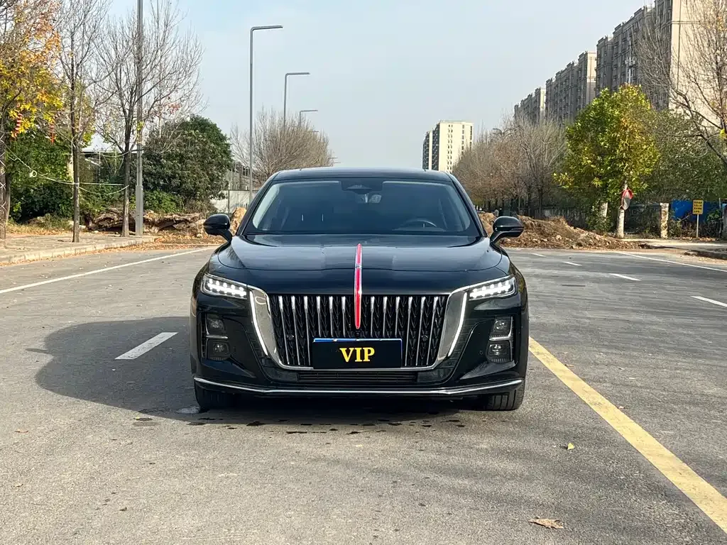 Hongqi H5 2023 из CN, фото 2