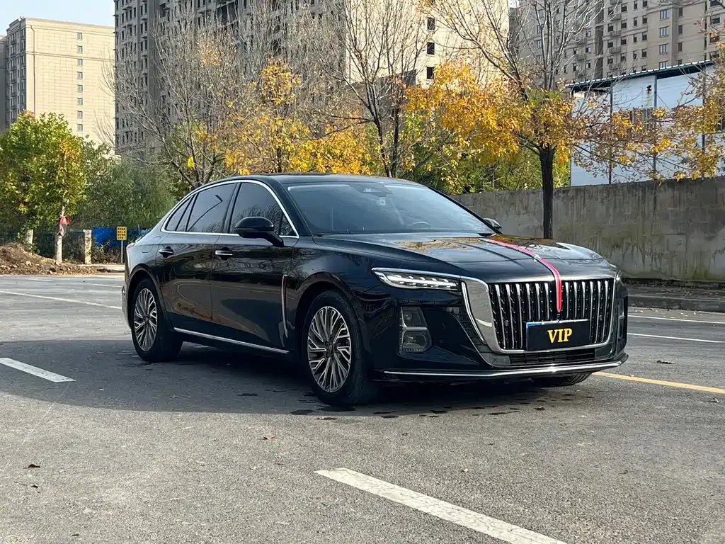 Hongqi H5 2023 из CN, фото 3
