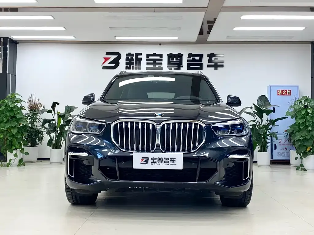 BMW X5 2022 из CN, фото 2