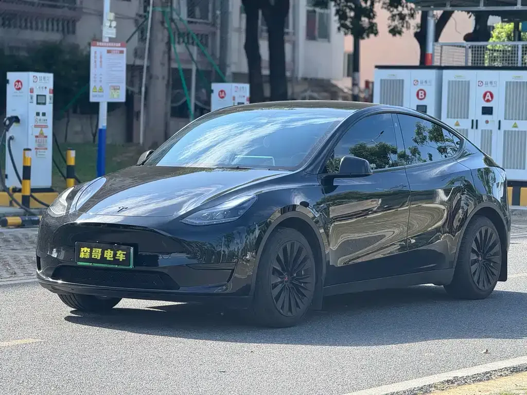 Tesla Model Y 2023 из CN, фото 1