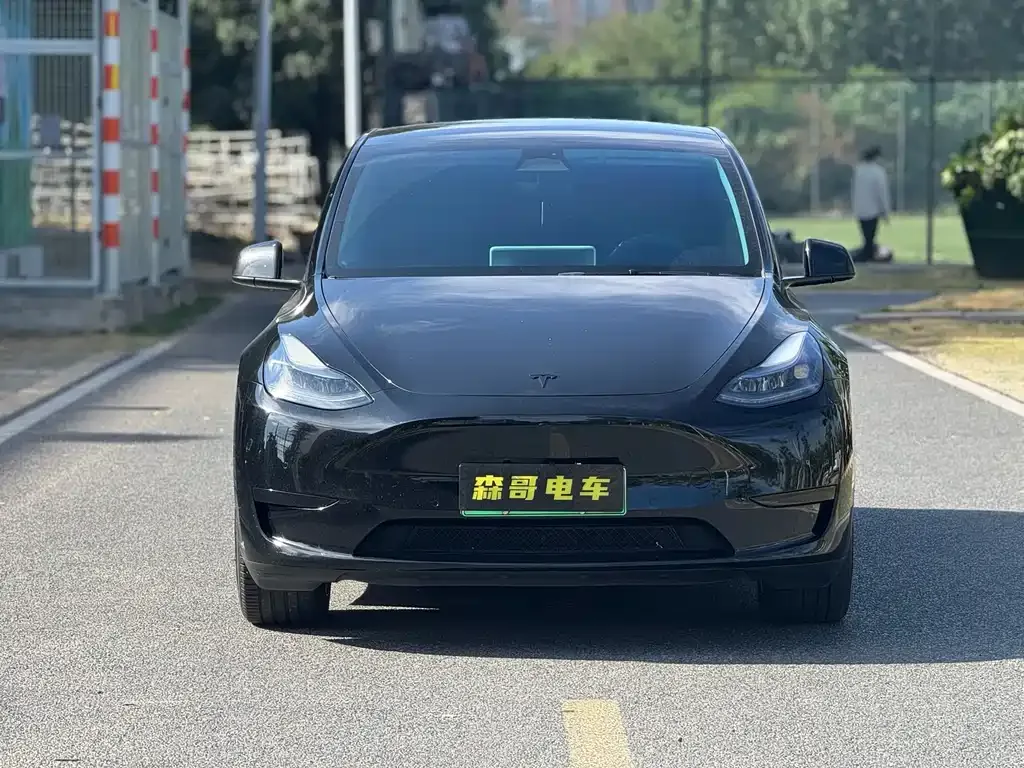 Tesla Model Y 2023 из CN, фото 2