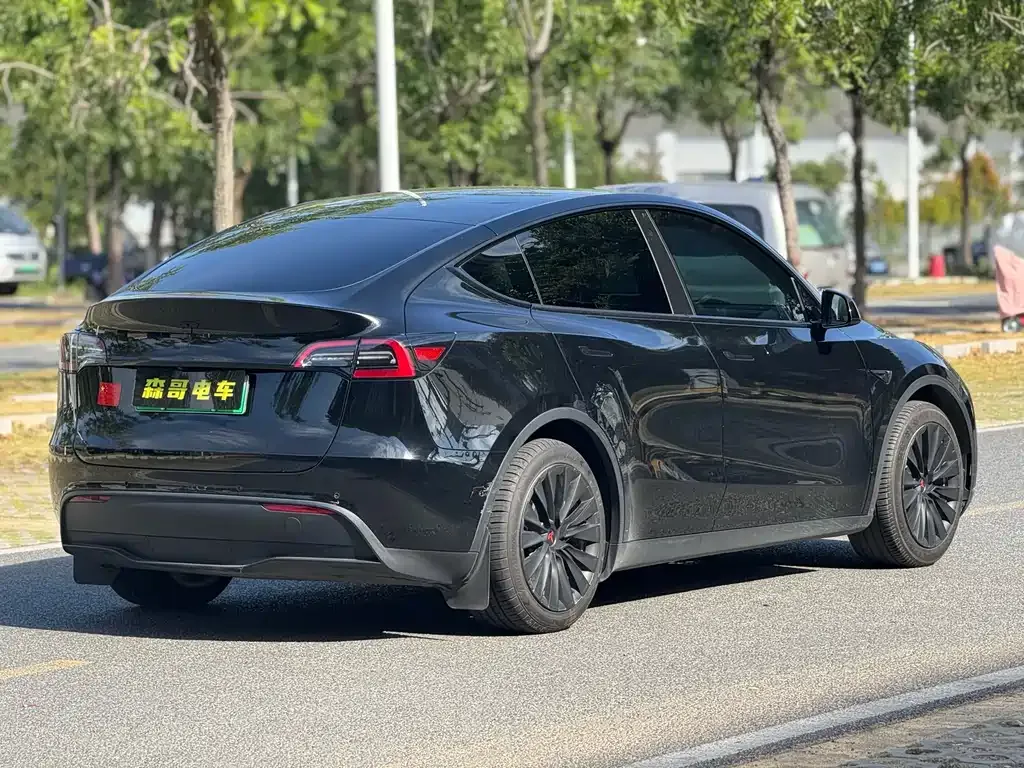 Tesla Model Y 2023 из CN, фото 5