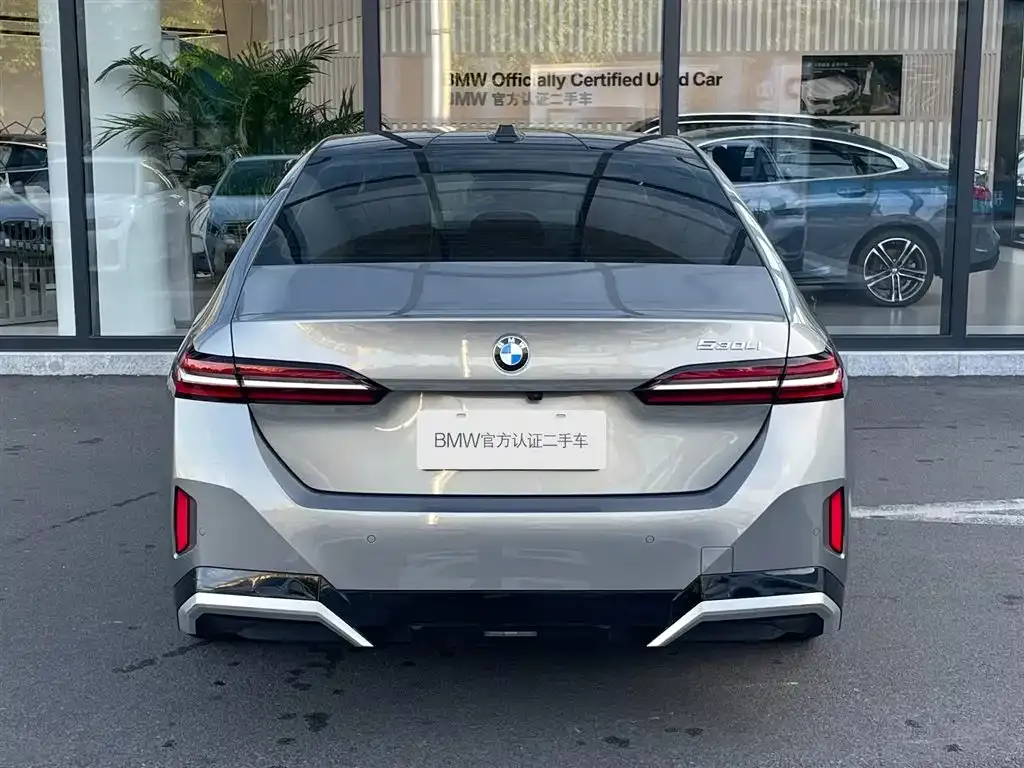 BMW 5 Series 2024 из CN, фото 3