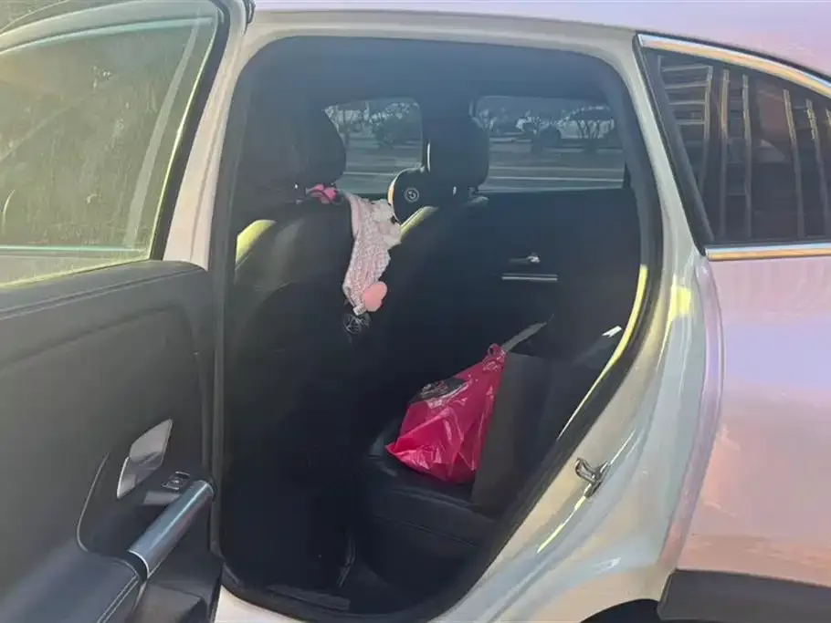 Mercedes-Benz GLA 2021 из CN, фото 10