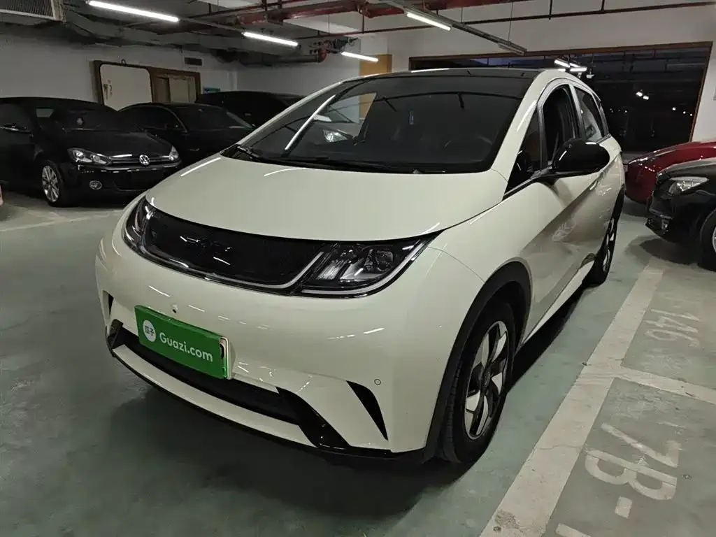 BYD Dolphin 2024 из CN, фото 1