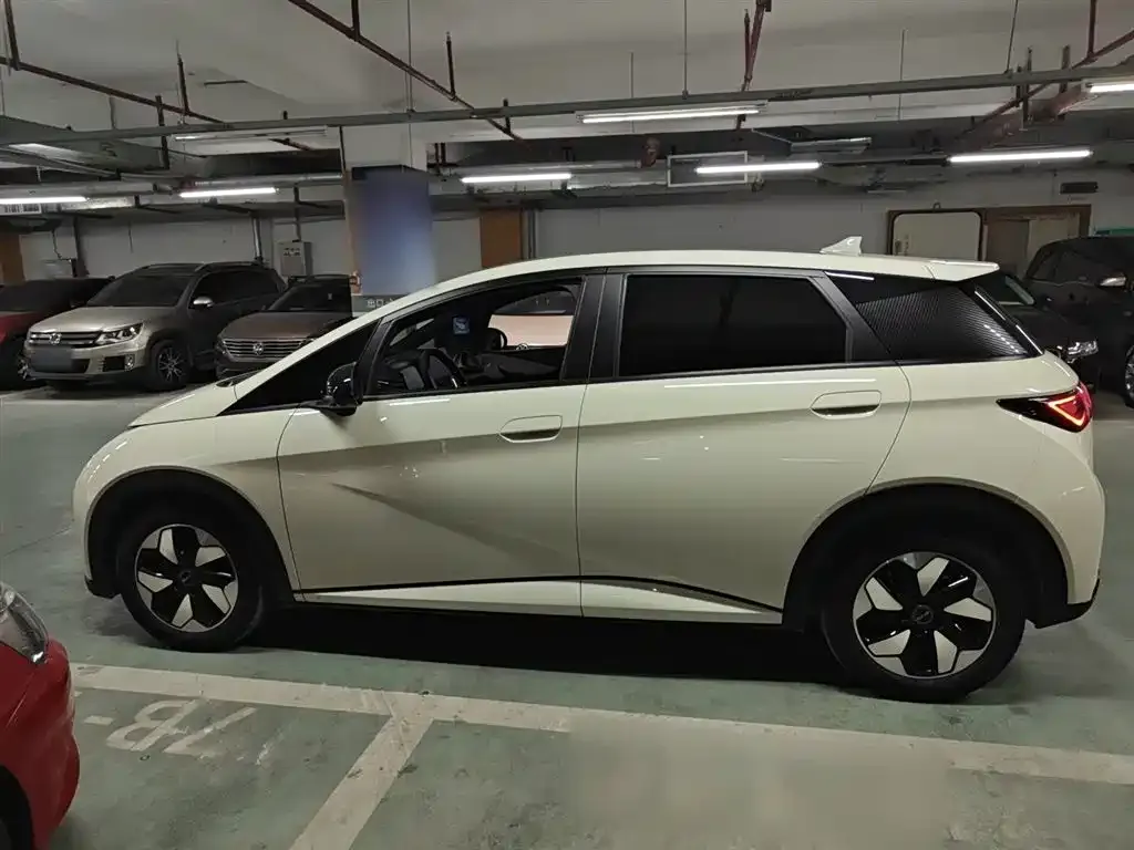 BYD Dolphin 2024 из CN, фото 5