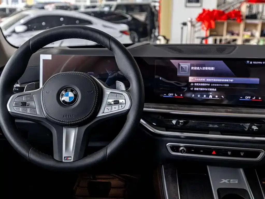 BMW X5 2025 из CN, фото 8
