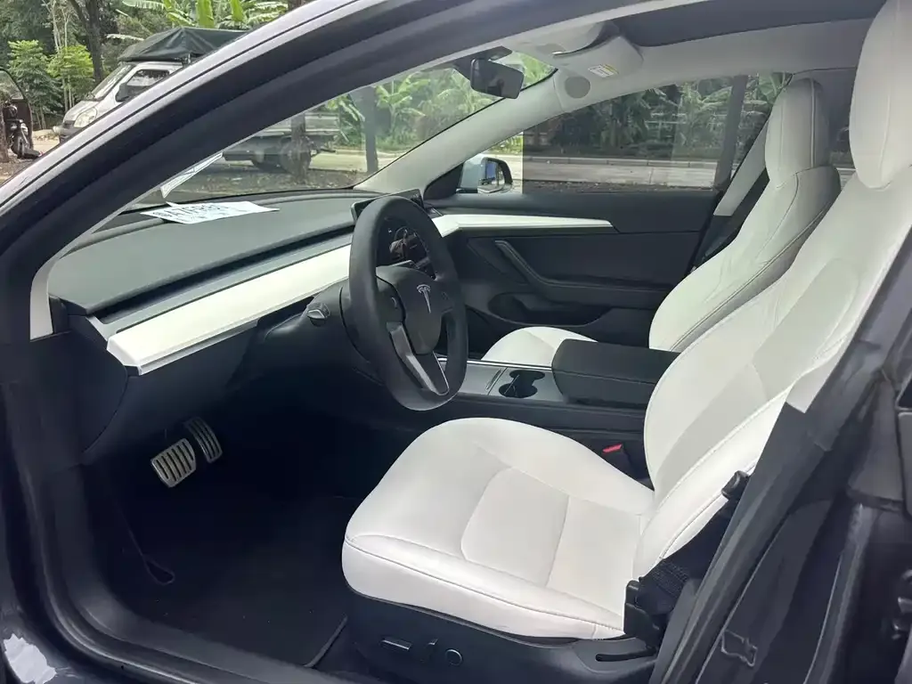 Tesla Model 3 2022 из CN, фото 4