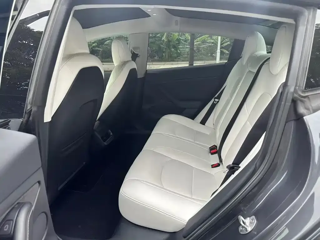 Tesla Model 3 2022 из CN, фото 6