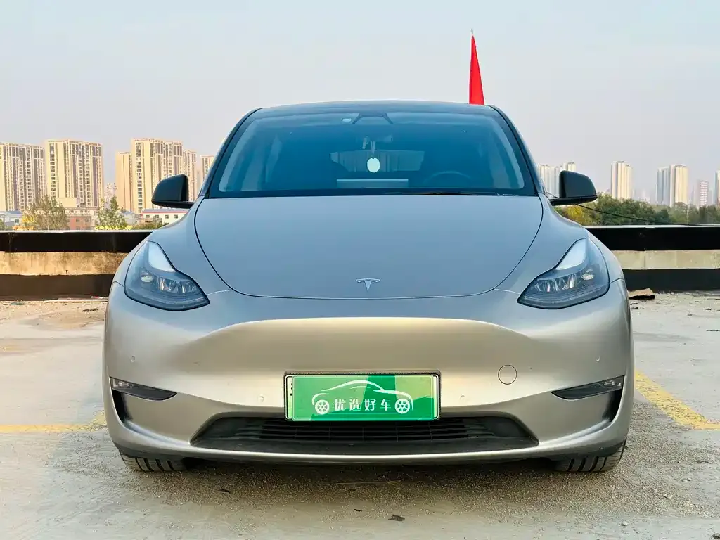 Tesla Model Y 2022 из CN, фото 2