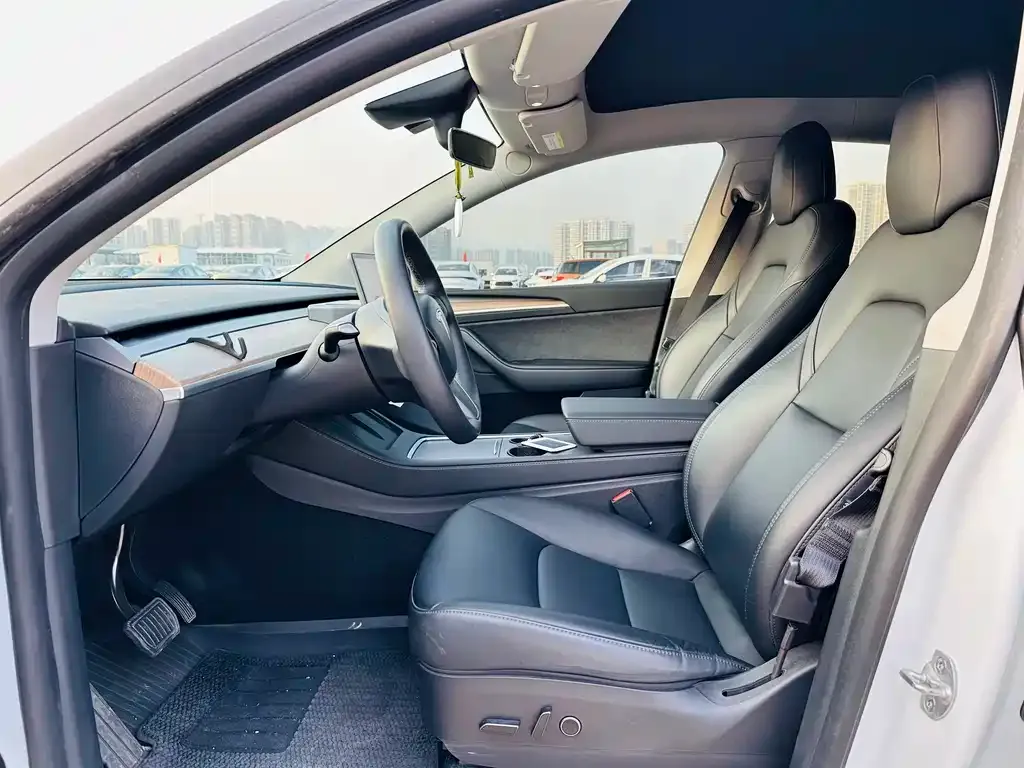 Tesla Model Y 2022 из CN, фото 4