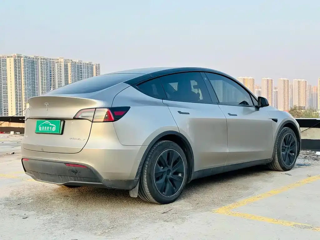 Tesla Model Y 2022 из CN, фото 7