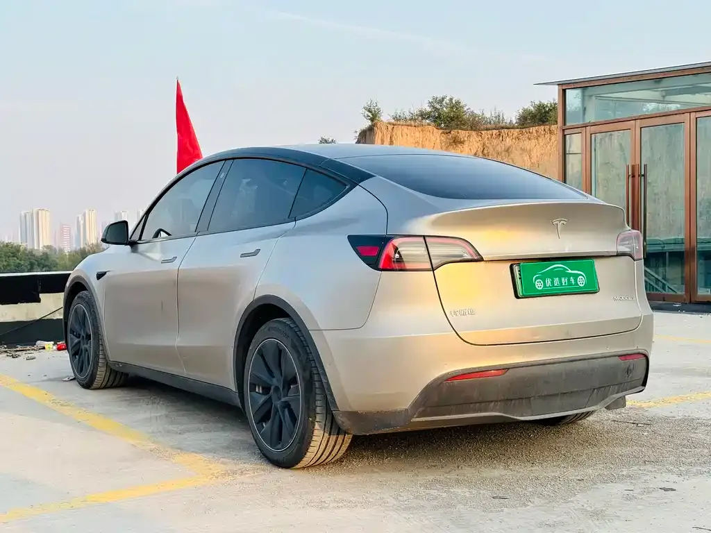 Tesla Model Y 2022 из CN, фото 9