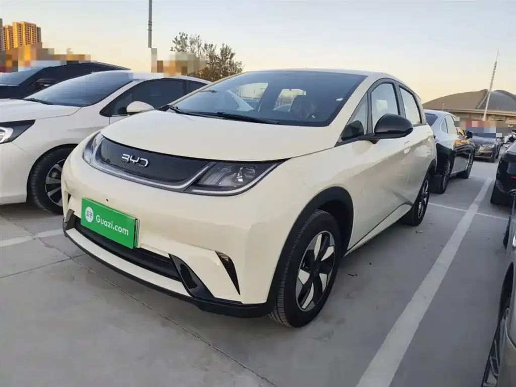 BYD Dolphin 2025 из CN, фото 1
