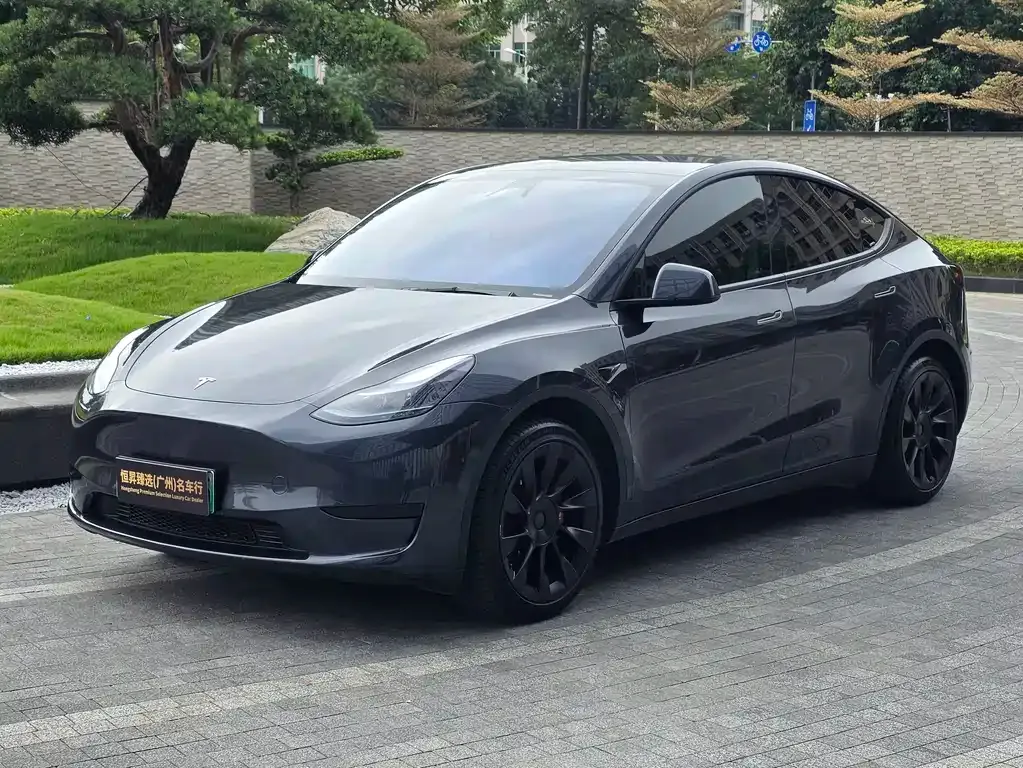 Tesla Model Y 2024 из CN, фото 1