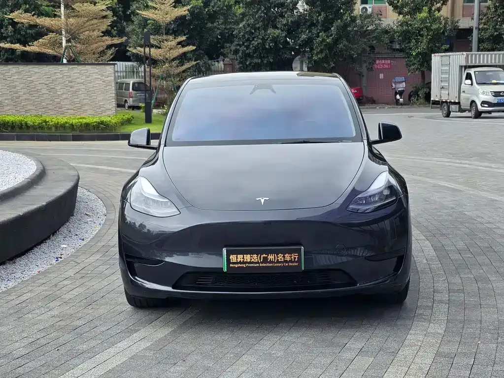 Tesla Model Y 2024 из CN, фото 2