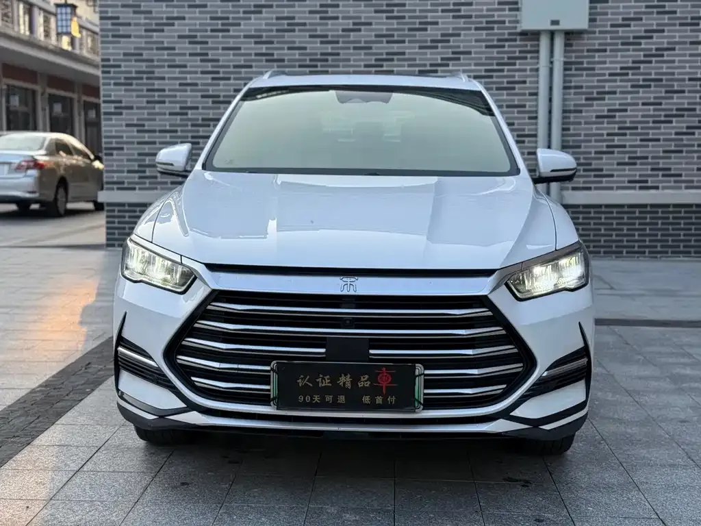 BYD Pro New Energy 2022 из CN, фото 2