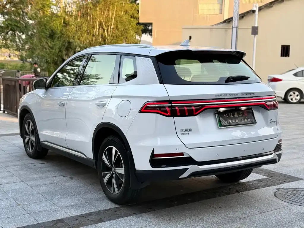 BYD Pro New Energy 2022 из CN, фото 4