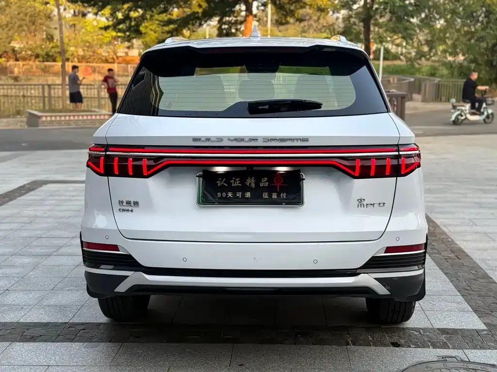 BYD Pro New Energy 2022 из CN, фото 5