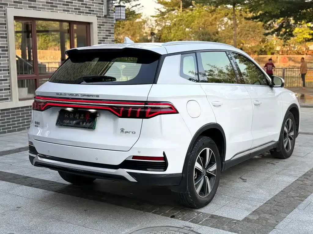 BYD Pro New Energy 2022 из CN, фото 6