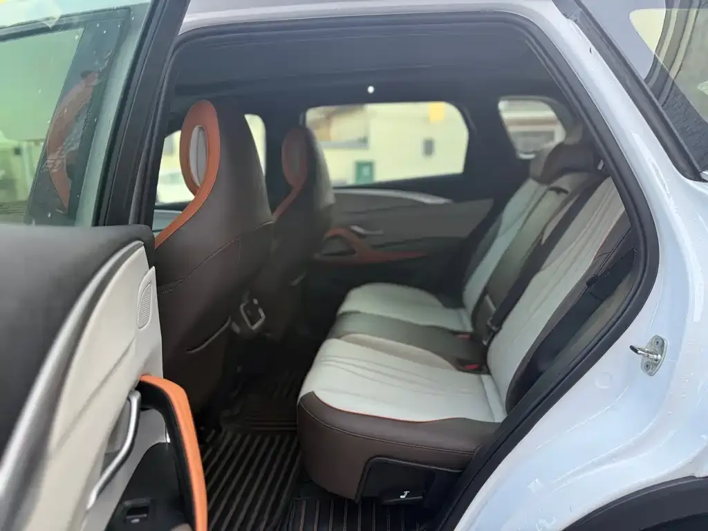 BYD Pro New Energy 2022 из CN, фото 8