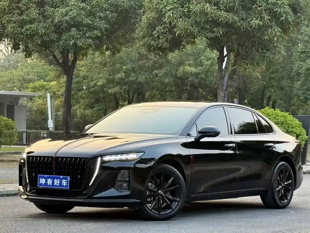 Hongqi H5 2025 из CN, фото 1