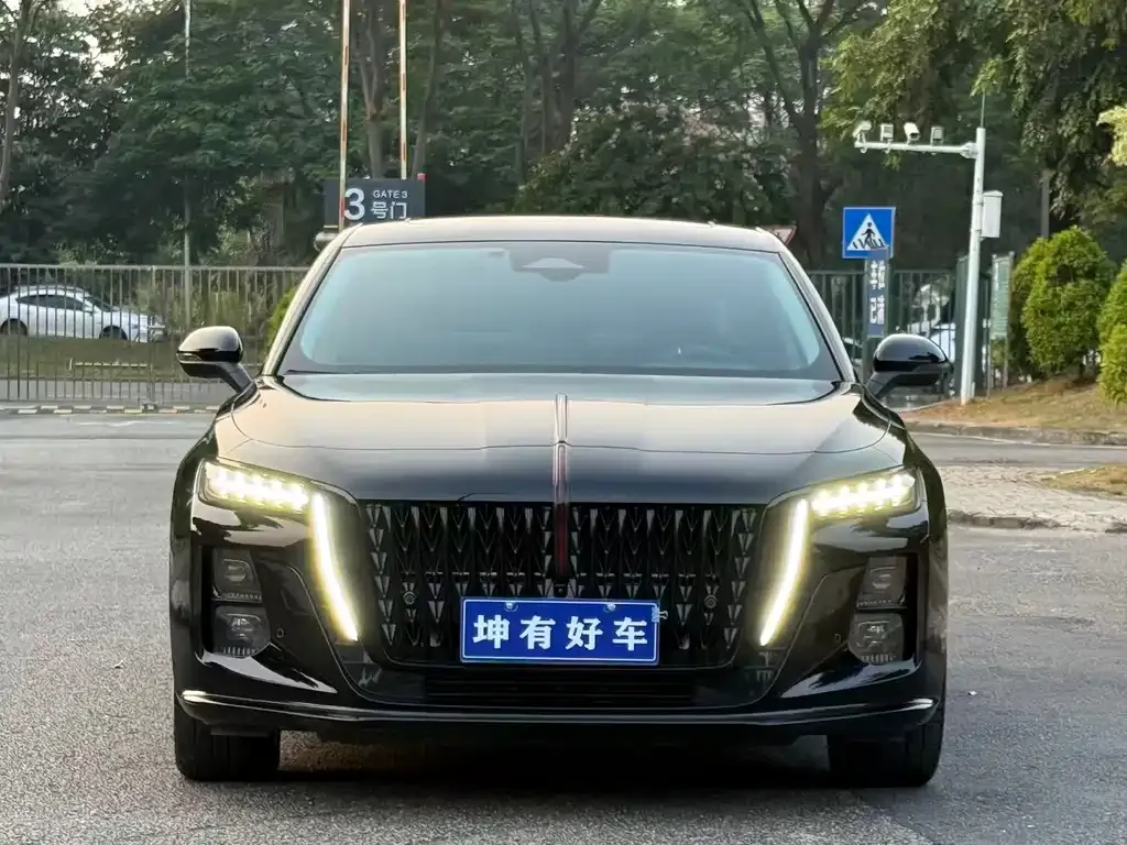 Hongqi H5 2025 из CN, фото 2