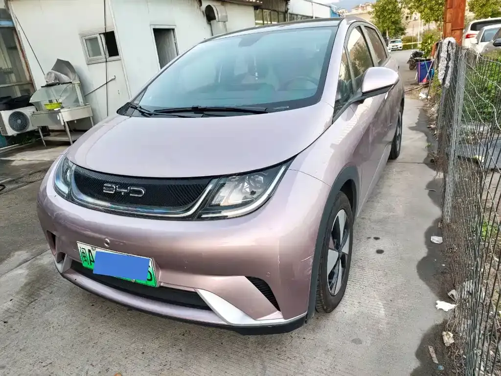 BYD Dolphin 2024 из CN, фото 1