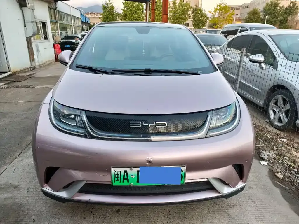 BYD Dolphin 2024 из CN, фото 2