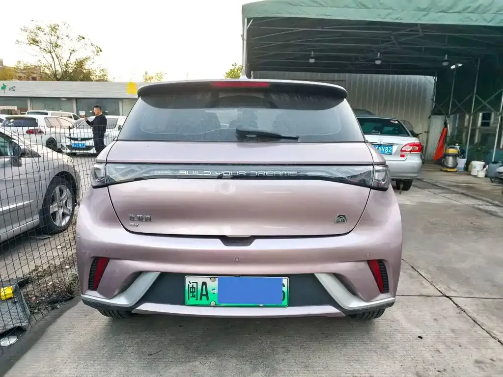 BYD Dolphin 2024 из CN, фото 7