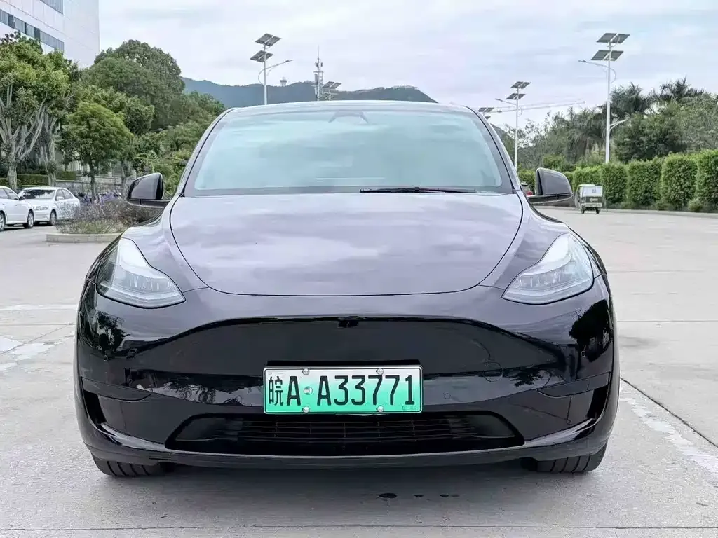 Tesla Model Y 2024 из CN, фото 2