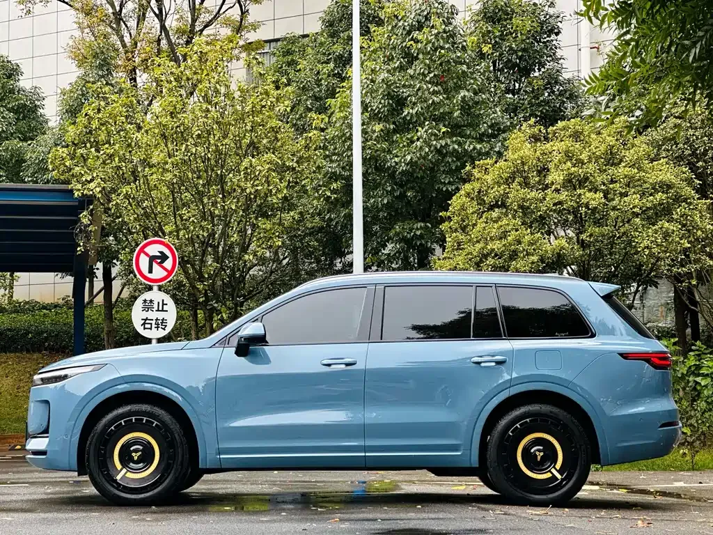 Li Auto ONE 2021 из CN, фото 5
