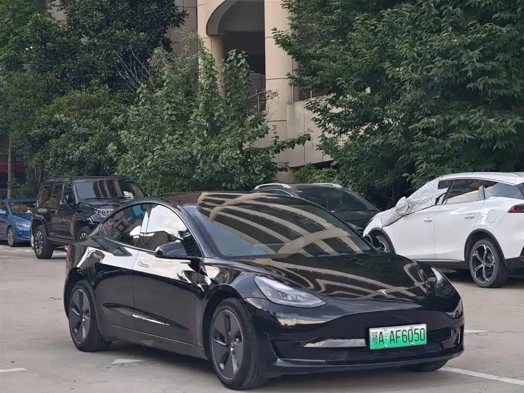 Tesla Model 3 2023 из CN, фото 3