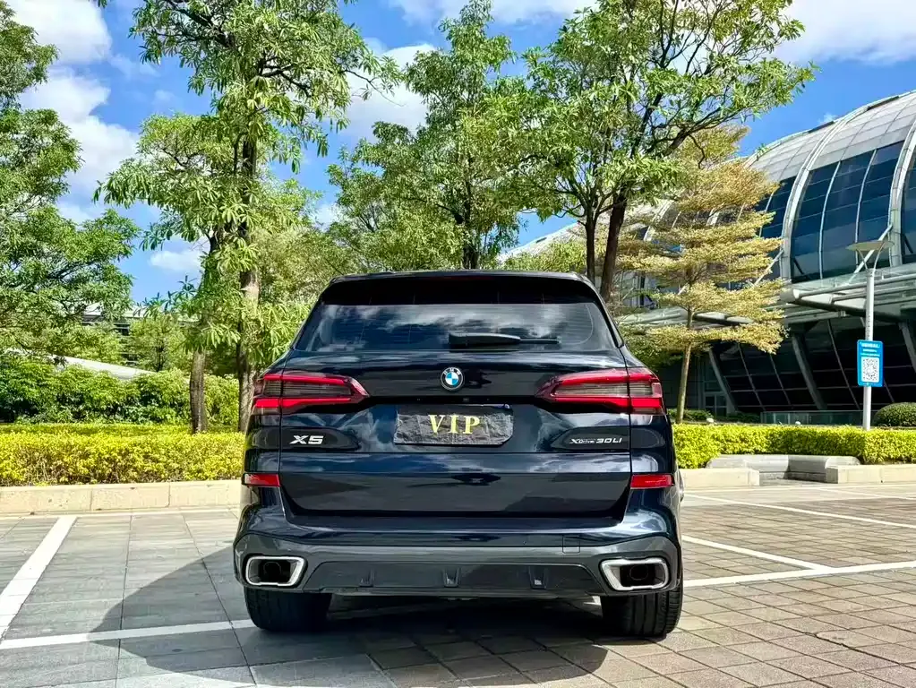 BMW X5 2023 из CN, фото 4