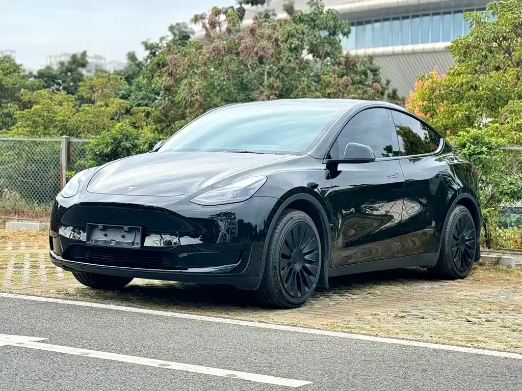 Tesla Model Y 2024 из CN, фото 1