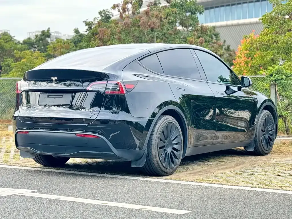 Tesla Model Y 2024 из CN, фото 10