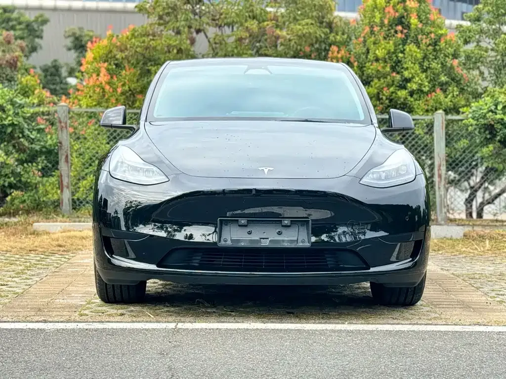 Tesla Model Y 2024 из CN, фото 2