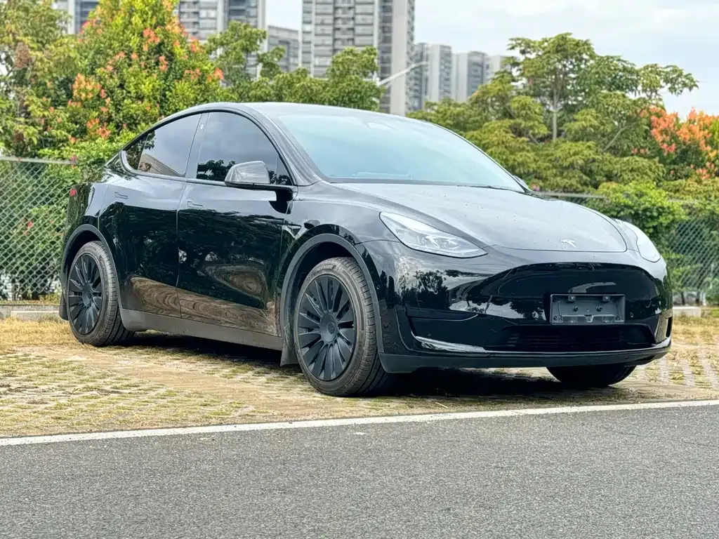 Tesla Model Y 2024 из CN, фото 3