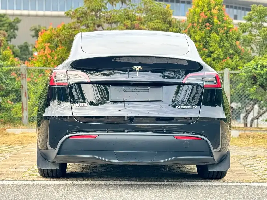 Tesla Model Y 2024 из CN, фото 9