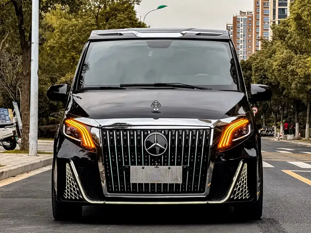 Mercedes-Benz Vito 2024 из CN, фото 3